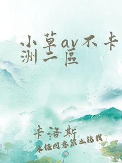 小草av不卡亚洲二区