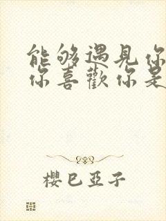 能够遇见你认识你喜欢你是什么歌