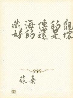 藏海传的观风是好的还是坏的