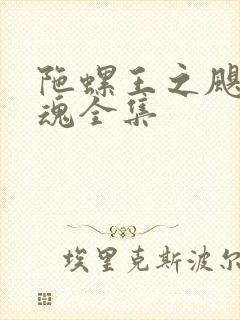 陀螺王之飓风战魂全集