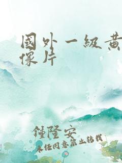 国外一级黄色录像片