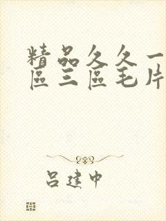 精品久久一区二区三区毛片