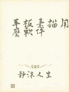 平板素描用的什么软件