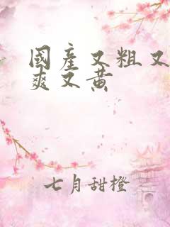 国产又粗又猛又爽又黄