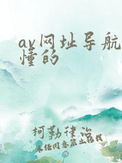 av网址导航你懂的