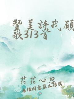 赞美诗我愿象主歌313首
