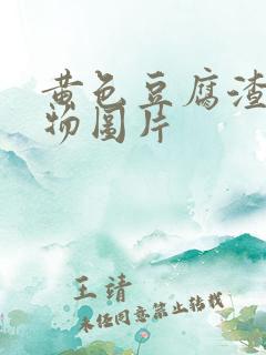 黄色豆腐渣分泌物图片