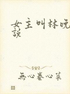 女主叫林晚的小说