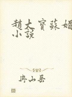 赵大宝苏媚儿媳小说