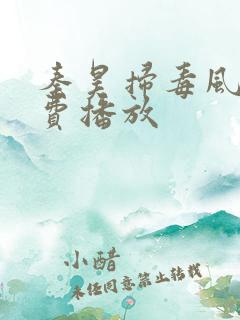 秦昊扫毒风暴免费播放