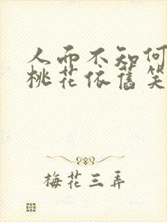 人面不知何处去桃花依旧笑春风的故事