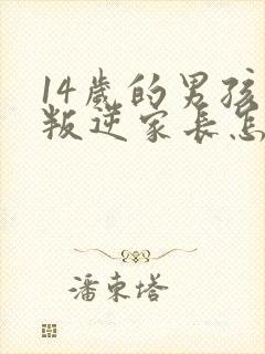 14岁的男孩子叛逆家长怎么办