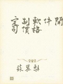 定制软件开发公司价格