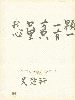 我只有一颗心,心里只有一个人