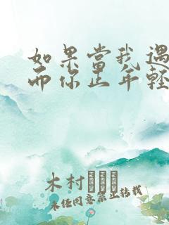 如果当我遇见你而你正年轻 歌词