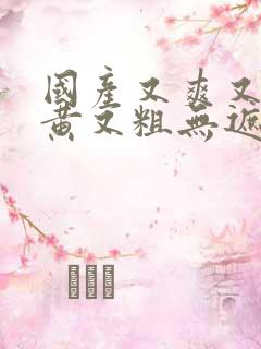 国产又爽又猛又黄又粗无遮挡