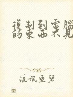 复制到电脑桌面的东西不见了