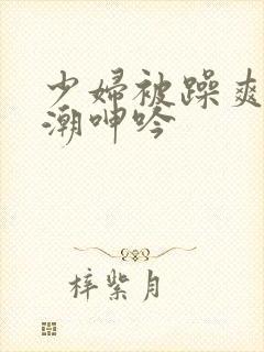 少妇被躁爽到高潮呻吟