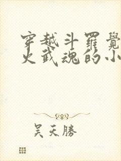 穿越斗罗觉醒异火武魂的小说