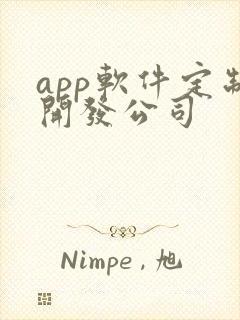 app软件定制开发公司
