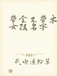 带金又带木的字女孩名字