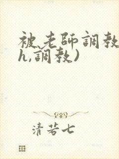 被老师调教(高h,调教)