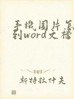 手机图片怎么弄到word文档里