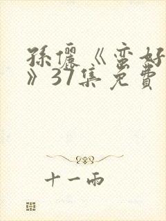 孙俪《蛮好人生》37集免费观看