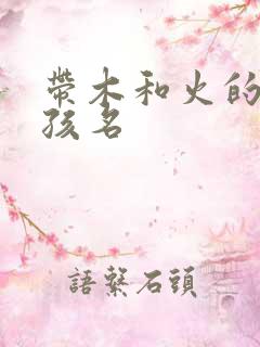 带木和火的字女孩名