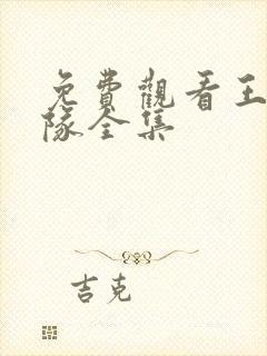 免费观看王牌部队全集