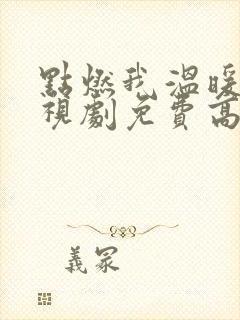 点燃我温暖你电视剧免费高清完整版