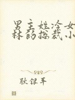 男主姓冷女主姓林的总裁小说