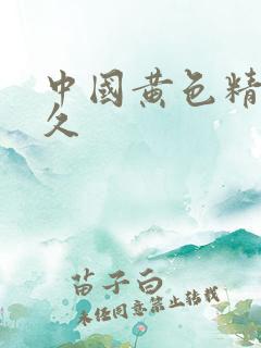 中国黄色精品久久