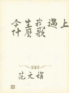 今生我遇上你是什么歌