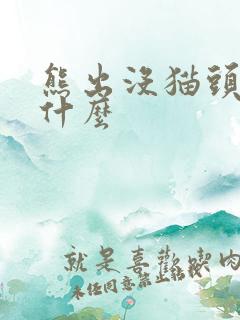 熊出没猫头鹰叫什么