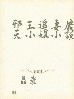 邪王追妻废材逆天小姐小说