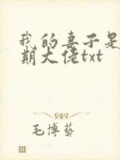 我的妻子是大乘期大佬txt
