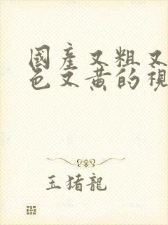 国产又粗又猛又色又黄的视频在线观看