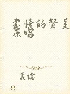 尽情的赞美主歌原唱