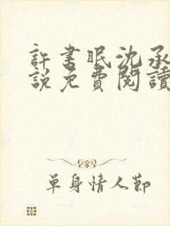 许书眠沈承泽小说免费阅读最新章节