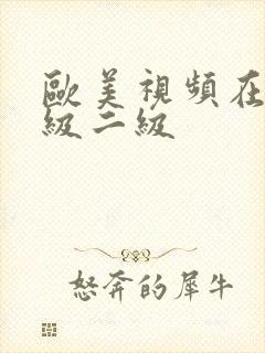 欧美视频在线一级二级