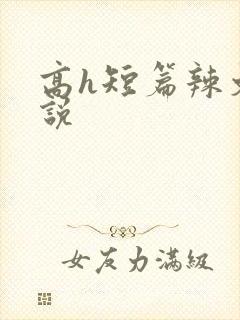 高h短篇辣文小说