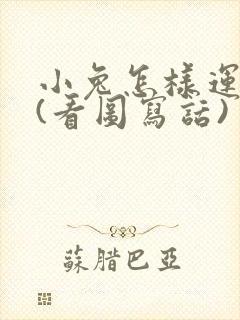 小兔怎样运南瓜(看图写话)