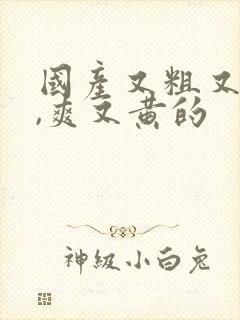 国产又粗又猛又,爽又黄的