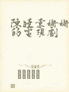 陈晓袁姗姗主演的电视剧