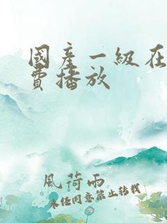 国产一级在线免费播放