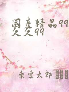 国产精品99久久久99