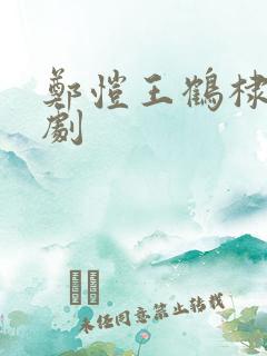 郑恺王鹤棣电视剧