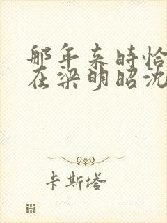 那年来时恰逢你在梁明昭沈砚卿全集阅读