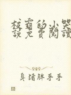 校霸的小哭包小说免费阅读